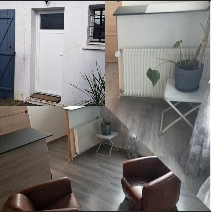 salle de thérapie avec fauteuils marron et plante verte