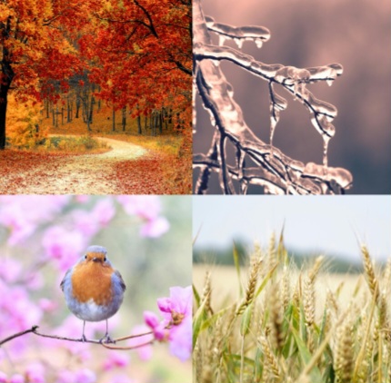 automne-hiver-printemps-ete